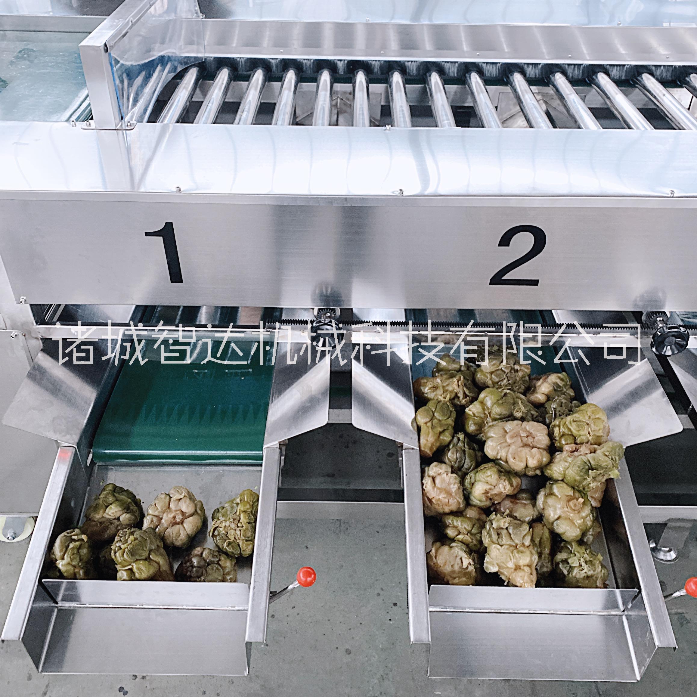 滾杠分選機  廠家加工定制
