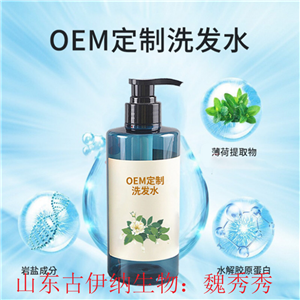 氨基酸洗發(fā)露貼牌OEM 無硅油洗發(fā)水代加工 洗護定制 來料加工