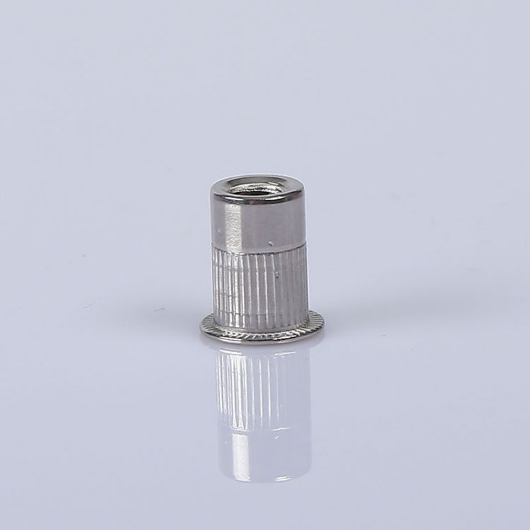 廠家供應拉鉚螺母定制批發(fā)多少錢哪家公司值得信賴