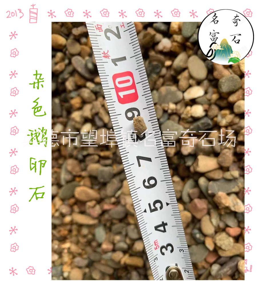 清遠(yuǎn)鵝卵石設(shè)計(jì)鋪路 花園路面鵝卵石鋪面 韶關(guān)鵝卵石廠家