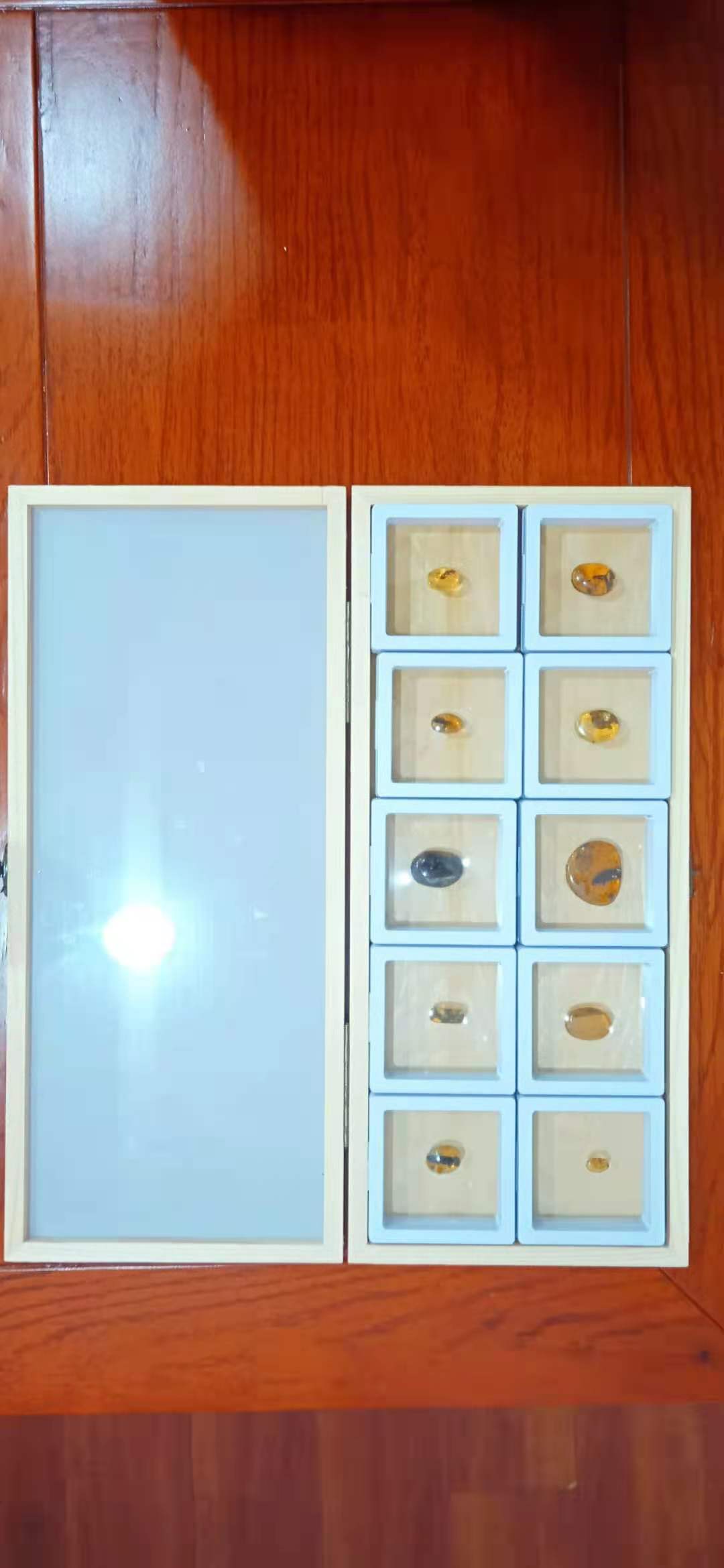 天然琥珀昆蟲標本