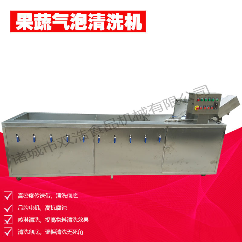 雙浩供應(yīng) 韭菜清洗機(jī) 定制全自動(dòng)不銹鋼鏈板式高壓噴淋氣泡清洗設(shè)備