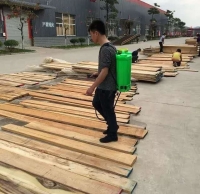 禪城區(qū)快速消滅白蟻公司哪家好？