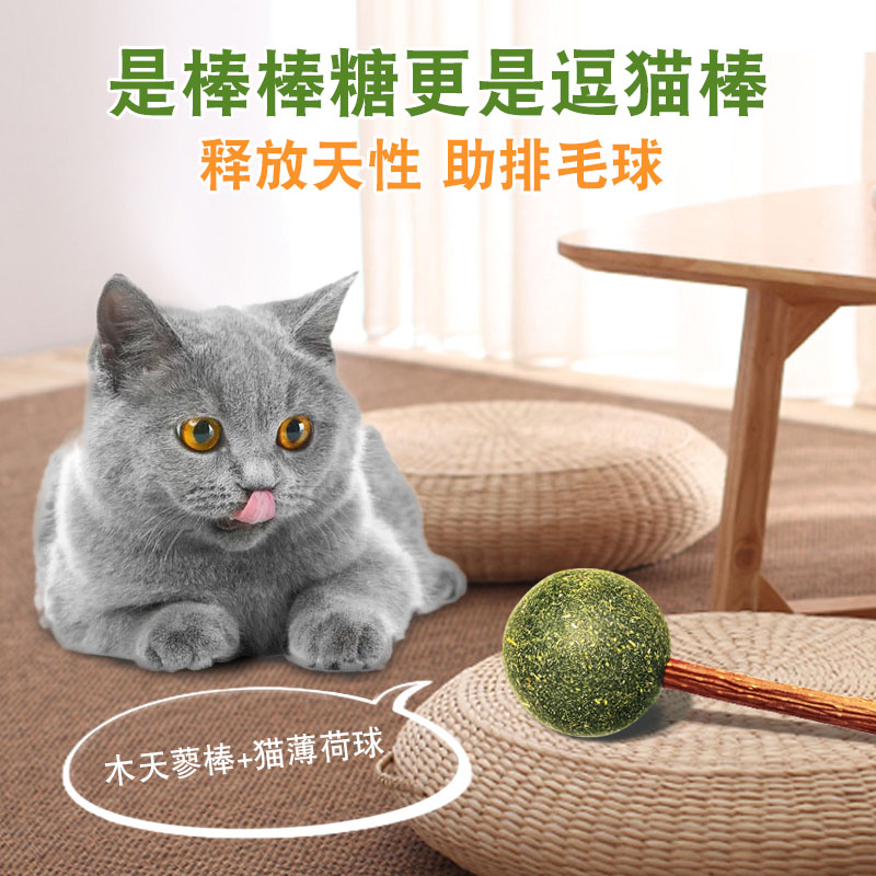 舔舔樂貓薄荷棒棒糖舔舔樂貓咪零食吐毛球貓寵物玩具逗貓棒 貓薄荷棒棒糖舔舔樂貓咪零食兩支裝