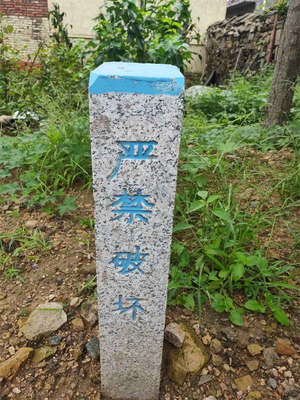 山東標志石加工廠 標志石價格