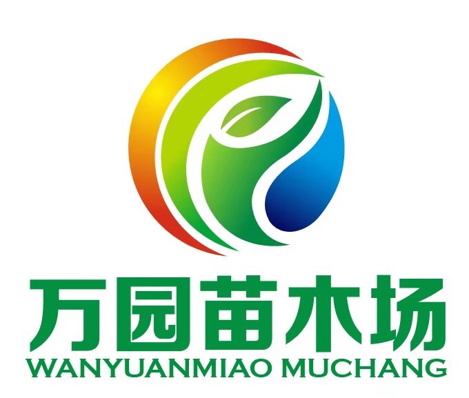 安徽1.8米塔柏基地-1.8米塔柏樹多少錢一棵-1.8米塔柏產地現(xiàn)挖現(xiàn)發(fā)