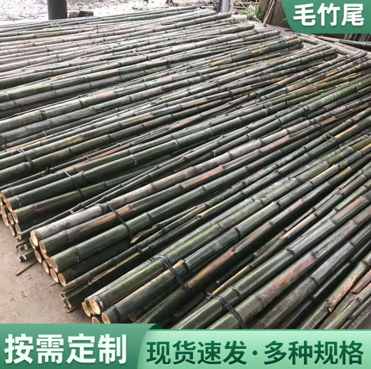 毛竹 現(xiàn)貨供應(yīng)毛竹稍竹尾巴 園林綠化樹木支撐 毛竹尾漁業(yè)插網(wǎng)用竹子