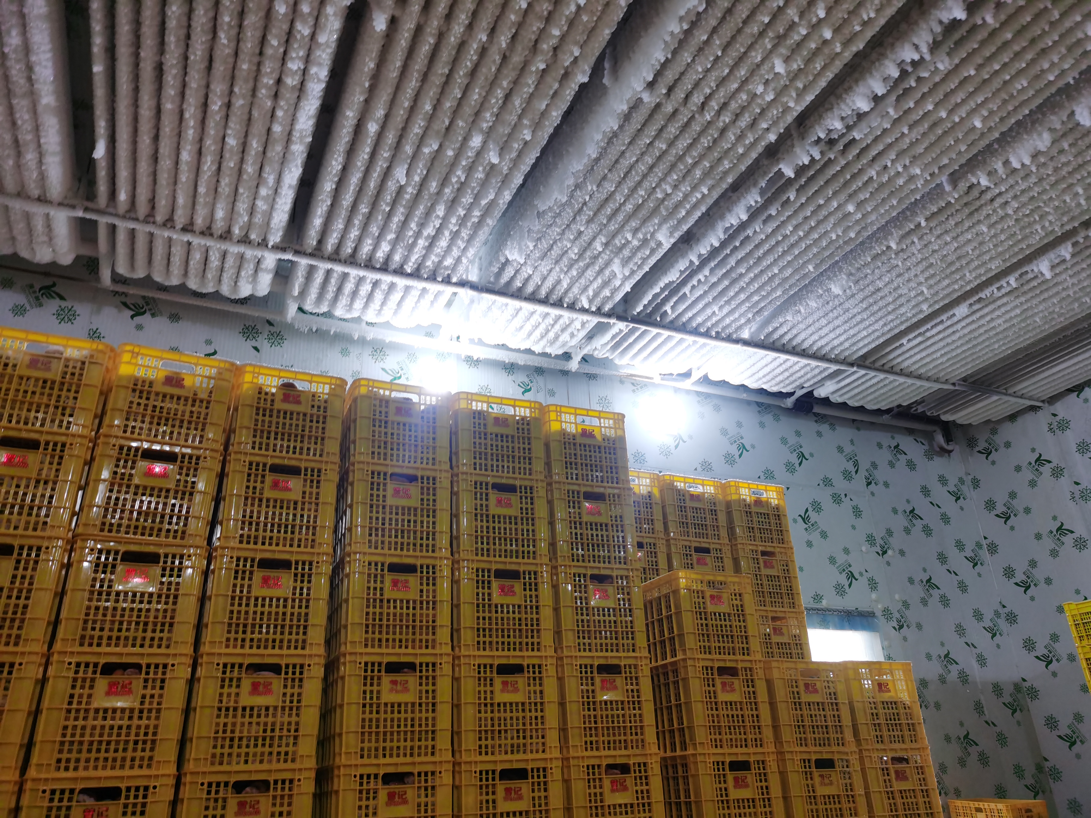 廣西全套冷庫設備-廣西中小冷庫安裝廠家-500立方米保鮮冷庫造價