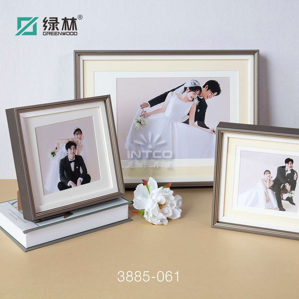 綠林2021新款婚紗相框條/婚紗相框線條批發(fā)/婚紗相框廠家