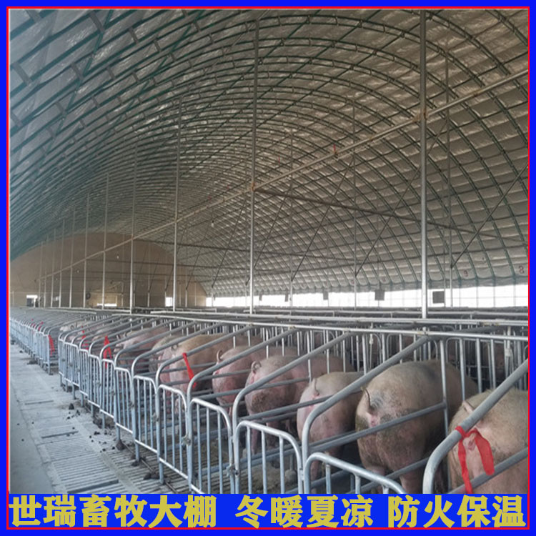 豬棚安裝方法 養(yǎng)豬場施工建設(shè) 搭建養(yǎng)豬棚廠家