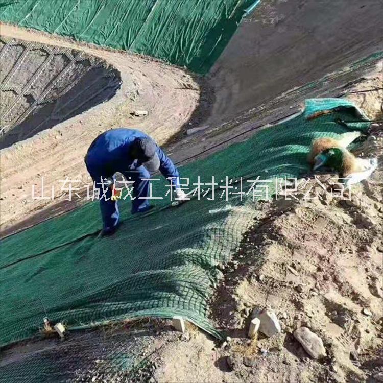 高速公路護(hù)坡施工 加筋椰絲毯 加筋防護(hù)毯  河道綠化施工