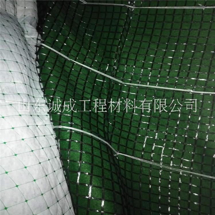 護(hù)坡植生毯廠家 抗沖生態(tài)毯 加筋防沖毯 高速公路邊坡生態(tài)防護(hù)
