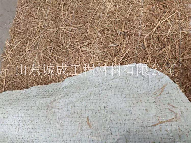 攀枝花植草毯 植物纖維毯 椰絲毯山體綠化  礦坑生態(tài)修復(fù)