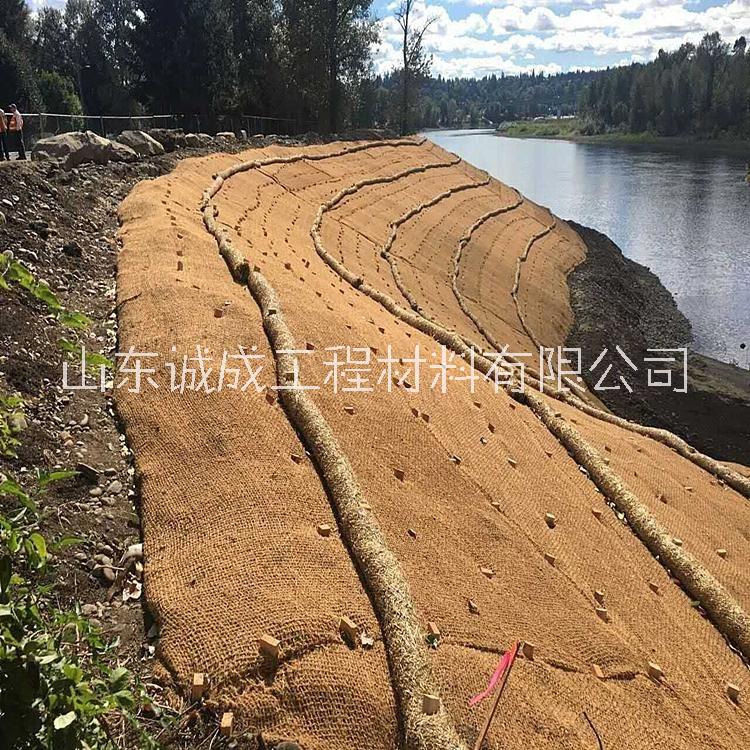 麻椰固土毯 麻椰植生毯 一手貨源 可降解 園林綠化