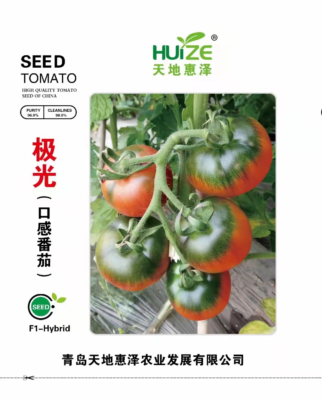 山東青島極光（口感番茄）番茄種子批發(fā)公司銷(xiāo)售價(jià)格 極光（口感番茄）種子 惠澤-極光（口感番茄）種子