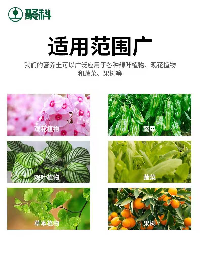 安徽聚科營(yíng)養(yǎng)生產(chǎn)泥炭土草炭土營(yíng)養(yǎng)土育苗基質(zhì)花卉用草炭營(yíng)養(yǎng)土批發(fā) 聚科營(yíng)養(yǎng)生產(chǎn)泥炭土草炭土營(yíng)養(yǎng)土