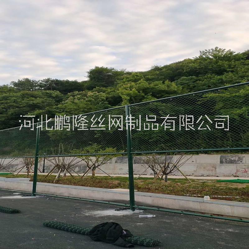 供應(yīng)鵬隆絲網(wǎng) 球場圍網(wǎng) 體育場圍網(wǎng) 體育場護(hù)欄勾花網(wǎng) 實體工廠