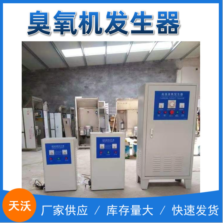 濟(jì)南水消毒設(shè)備臭氧發(fā)生器 工業(yè)水處理臭氧發(fā)生器模塊 臭氧水機(jī)定制