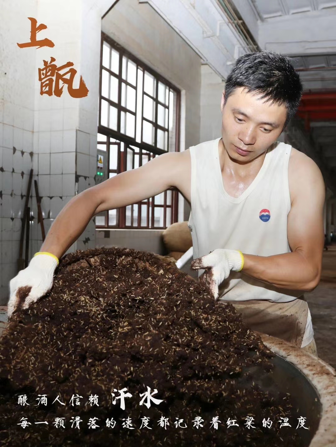 酒壇 原漿封壇 儲酒酒壇 尺寸可定制