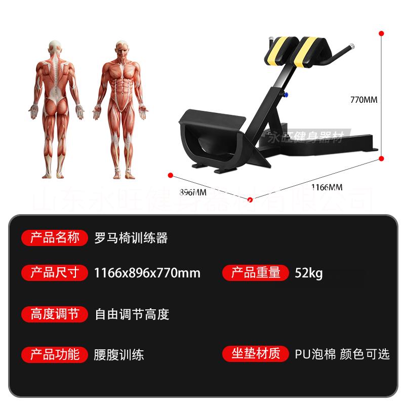 羅馬椅健身房器材山羊挺身訓(xùn)練器