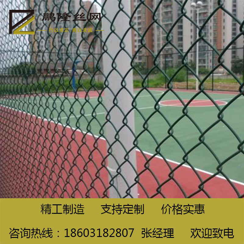 體育場圍欄 體育場護(hù)欄網(wǎng) 球場圍網(wǎng) 河北鵬隆絲網(wǎng)廠家現(xiàn)貨 球場圍欄