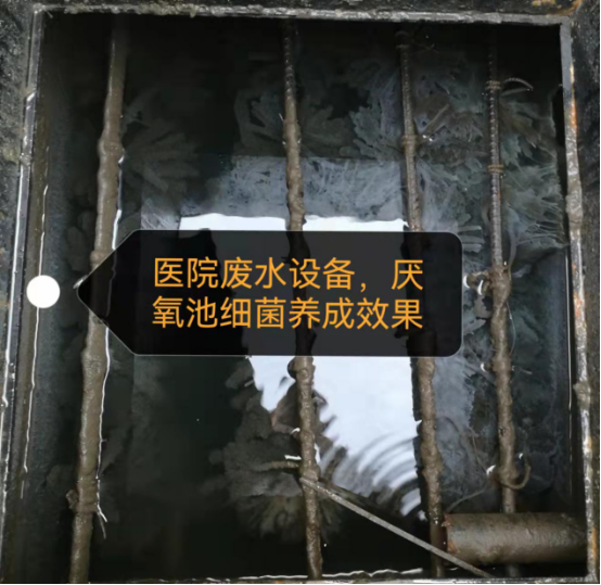 醫(yī)院污水處理設(shè)備 醫(yī)院污水處理設(shè)備廠【青島麗宇環(huán)境科技有限公司】