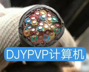 計(jì)算機(jī)電纜廠家供應(yīng)、生產(chǎn)廠家、生產(chǎn)商【河北海河特種線(xiàn)纜有限公司】