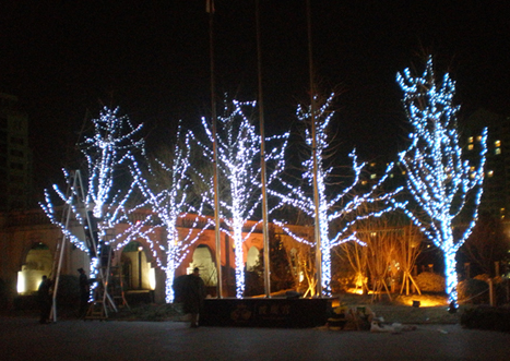 圣誕夜景照明批發(fā)，上門安裝。*惠