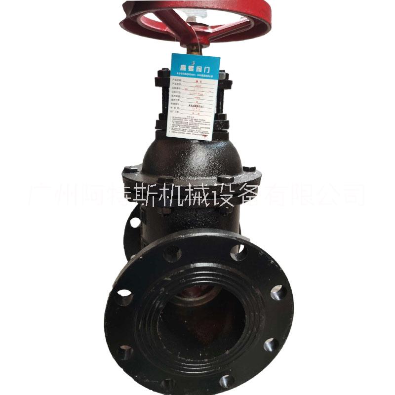 鑄鐵法蘭閘閥暗桿Z45T-10 閘閥Z41T-10/16法蘭明桿閘閥 管道閥門