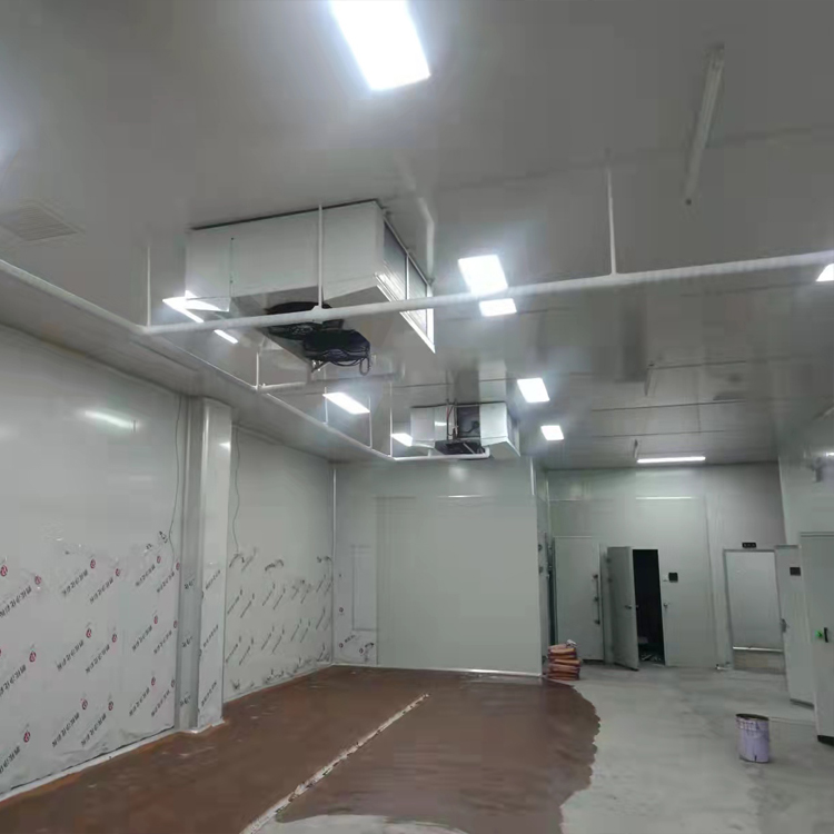 上秋制冷冷庫(kù)保鮮速凍工程設(shè)備全套水果蔬菜雞鴨魚(yú) 冷藏冷凍庫(kù)安