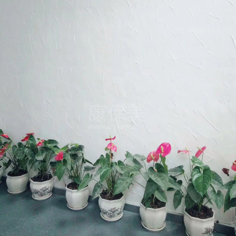 彩色飾面砂漿 康保美彩色砂漿 飾面砂漿 裝飾飾面砂漿 外墻飾面砂漿 混合砂 彩色飾面砂漿價格 廣東彩色飾面砂漿價格
