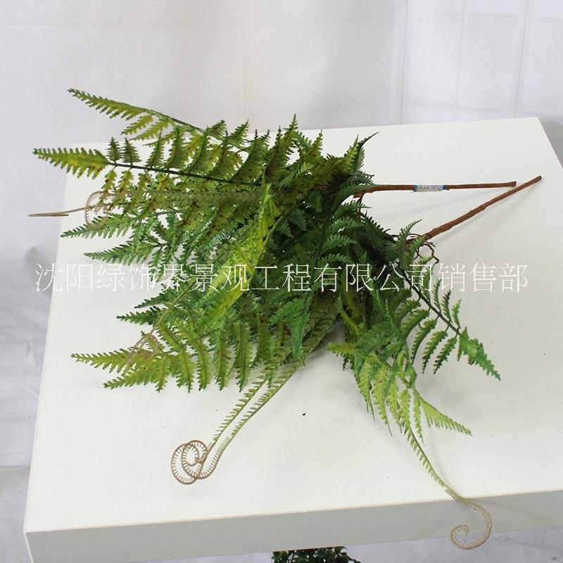 供應(yīng)用于室內(nèi)景觀裝飾|裝飾擺放綠植|工程花草的人造鹿角草仿真植物仿真植物墻配材