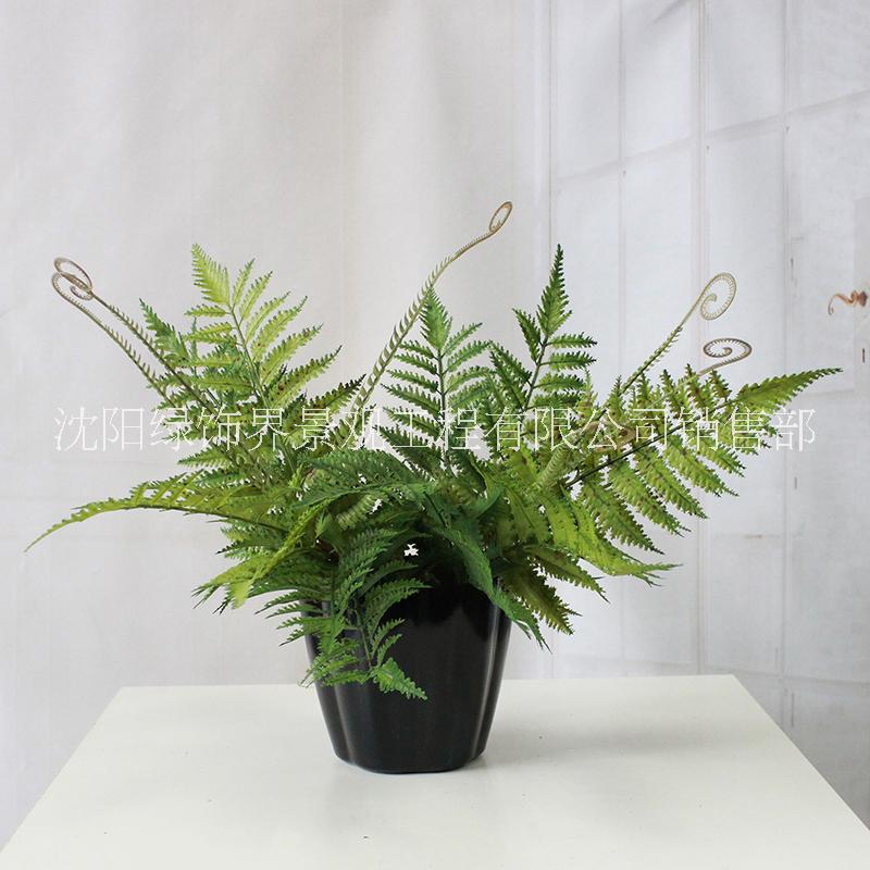 供應(yīng)用于室內(nèi)景觀裝飾|裝飾擺放綠植|工程花草的人造鹿角草仿真植物仿真植物墻配材