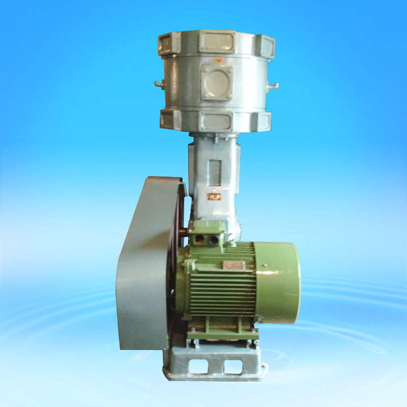 WLW300無(wú)油真空泵 無(wú)油真空泵