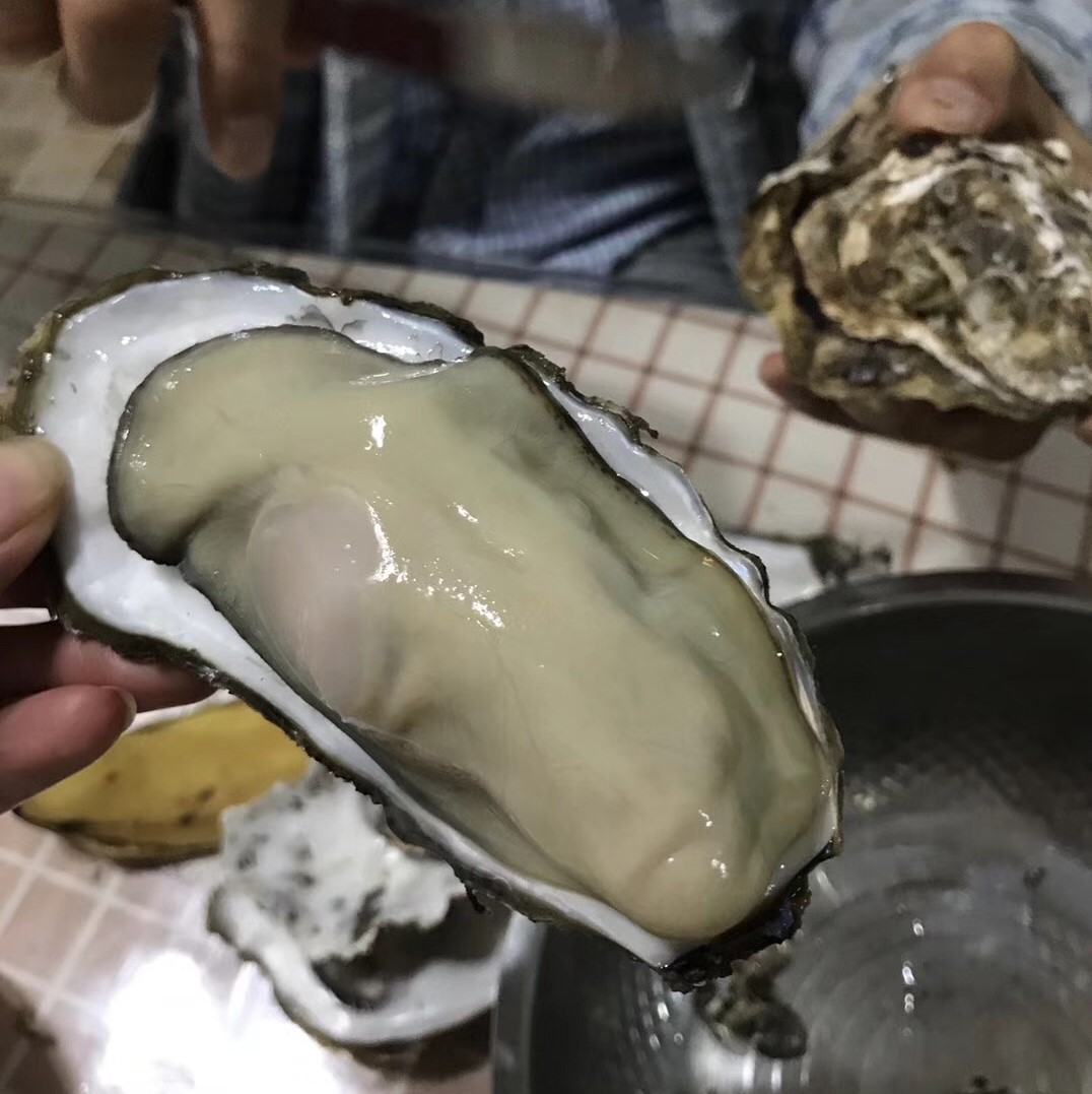 乳山生蠔養(yǎng)殖場乳山生蠔多少錢一只