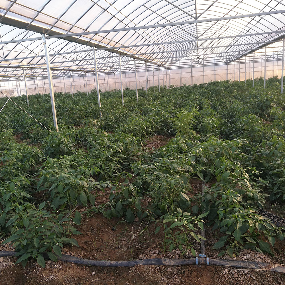 萬宏測控物聯(lián)網(wǎng)大田智能灌溉系統(tǒng) 大田農(nóng)用節(jié)水灌溉系統(tǒng) 大田灌溉設(shè)備