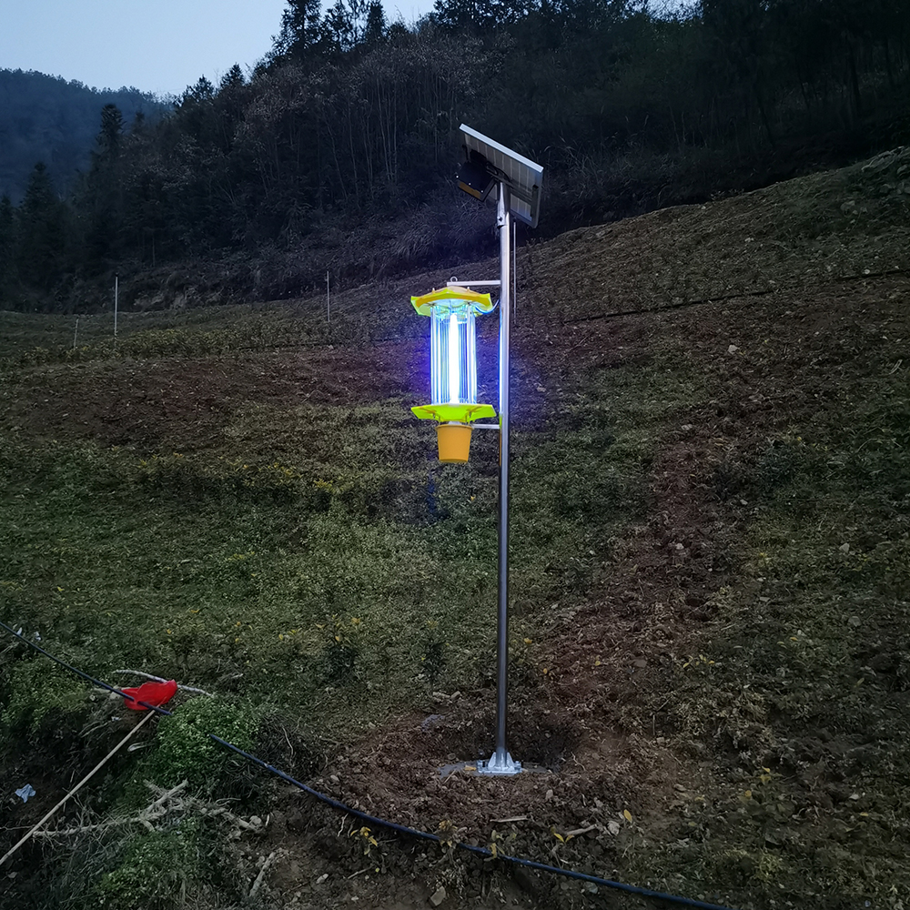 智慧農林有害生物測報預警系統(tǒng) 自動監(jiān)測誘蟲燈 害蟲殺蟲燈 蟲情監(jiān)測系統(tǒng)