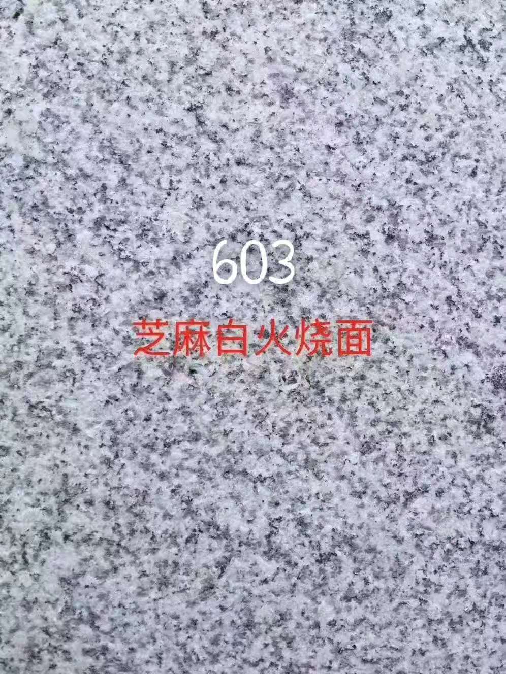 603芝麻白火燒面供應(yīng)商