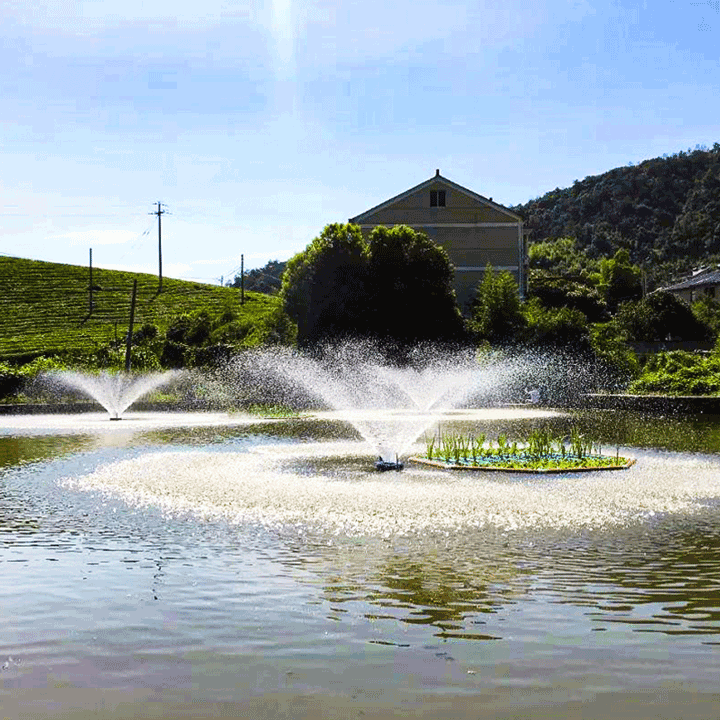 RPQ 噴泉曝氣機(jī)      提水式 噴泉曝氣機(jī)
