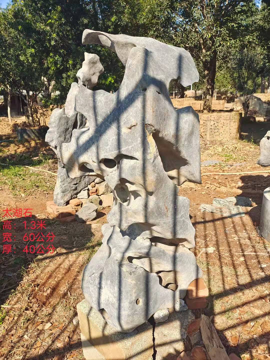 太湖石產(chǎn)地，廣西太湖石批發(fā)，太湖石銷售價(jià)格（英德市望埠鎮(zhèn)佳園苗木桂花場）