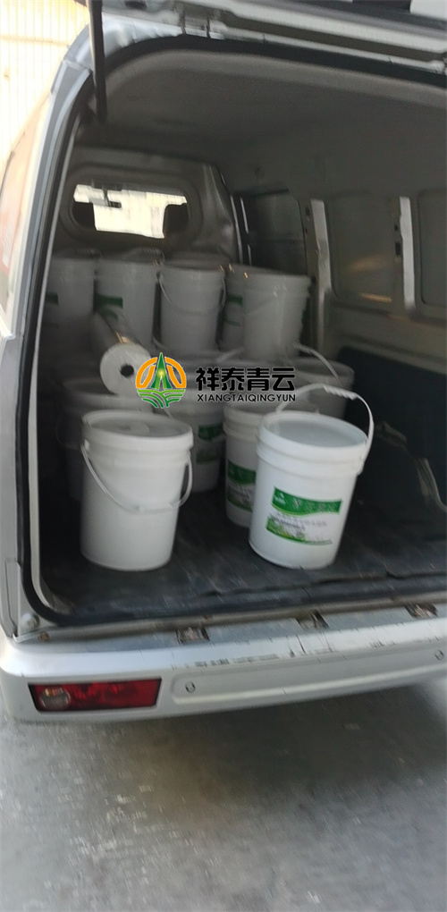 LV高分子聚合物防水防腐涂料 LV高分子聚合物防水防腐涂料