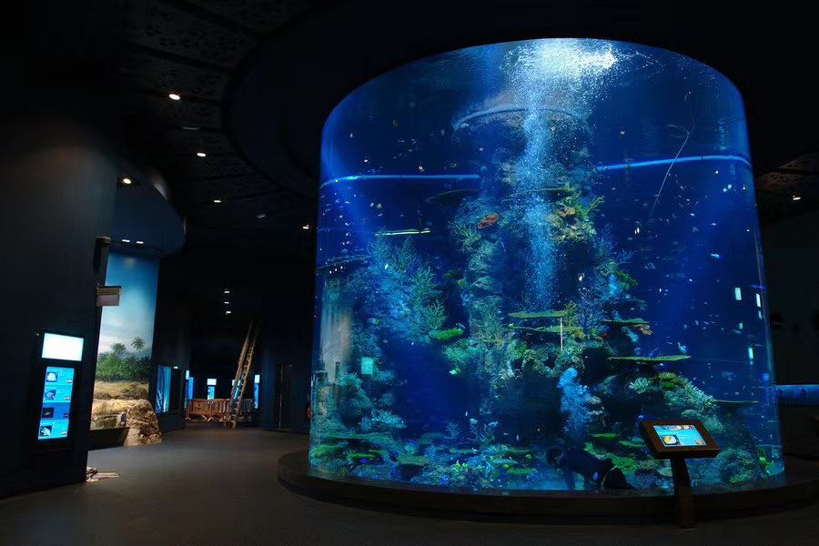 伯恩亞克力水族箱魚缸 廠家報價  接受定制 品質保障
