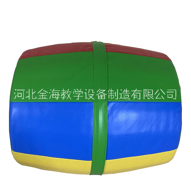 金海教學生產(chǎn)銷售兒童室內(nèi)體適能訓練彩球幼兒園器材