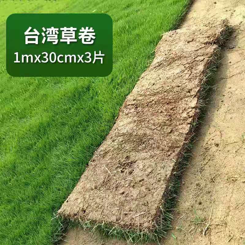 臺(tái)灣草草卷廠家-哪家好-電話