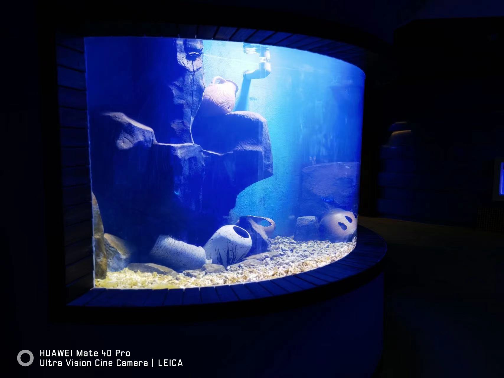 河南 酒店魚(yú)缸建設(shè)工程_亞克力水族箱定制價(jià)格