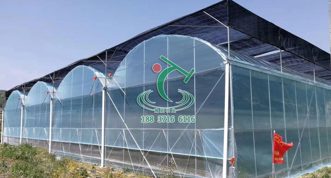 連棟圓拱玻璃溫室哪家好  連棟圓拱玻璃溫室報(bào)價(jià)