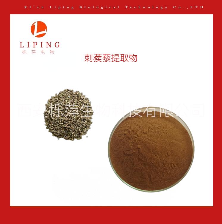 現(xiàn)貨供應刺蒺藜提取物刺蒺藜皂甙90