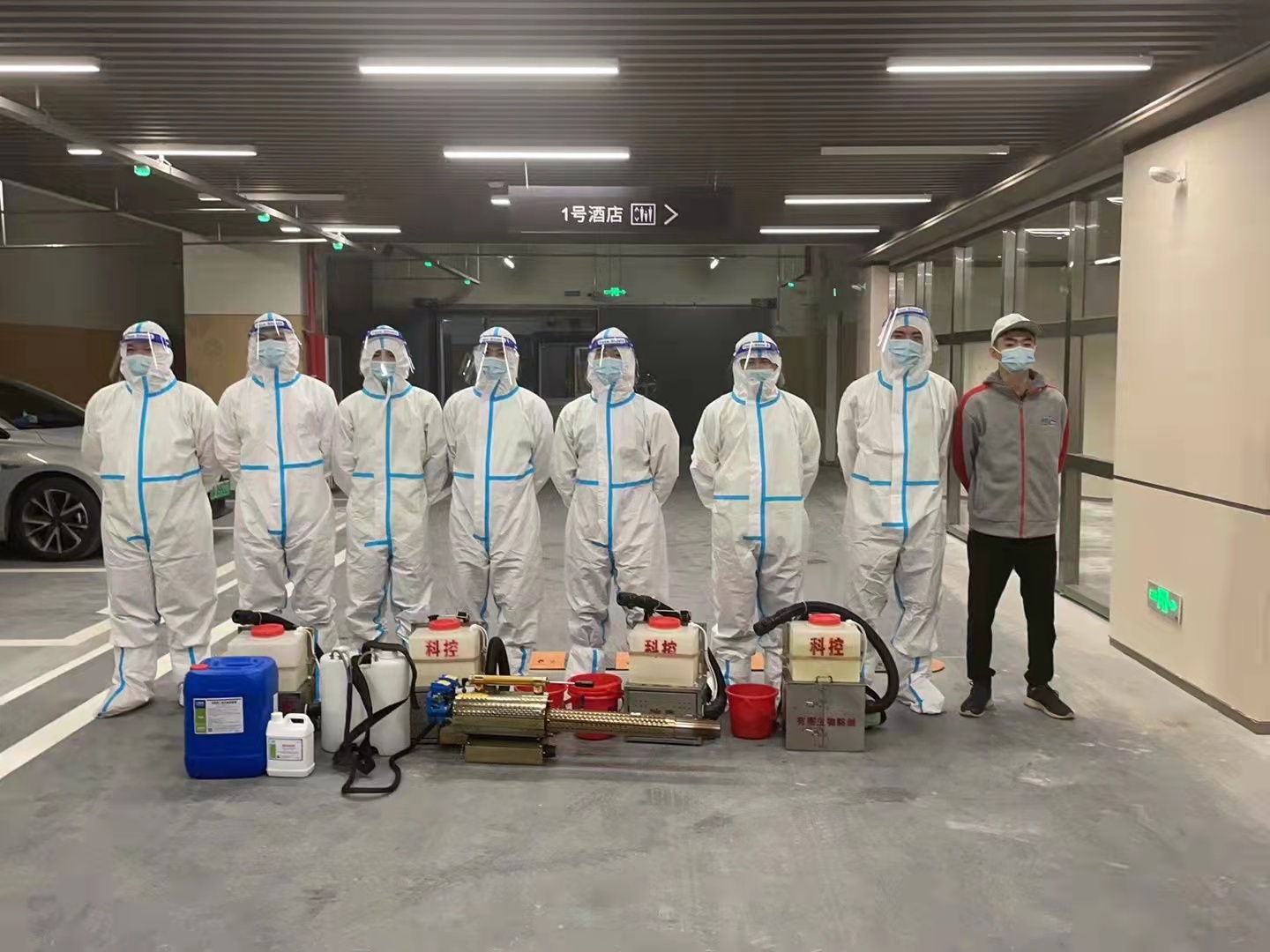 南海區(qū)滅紅火蟻工程，獅山滅紅火蟻熱線，滅紅火蟻有哪些方法