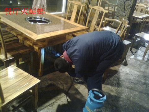 廣州室內(nèi)消毒殺蟲，大型場(chǎng)所殺蟲滅蟑螂，家庭除蟑螂