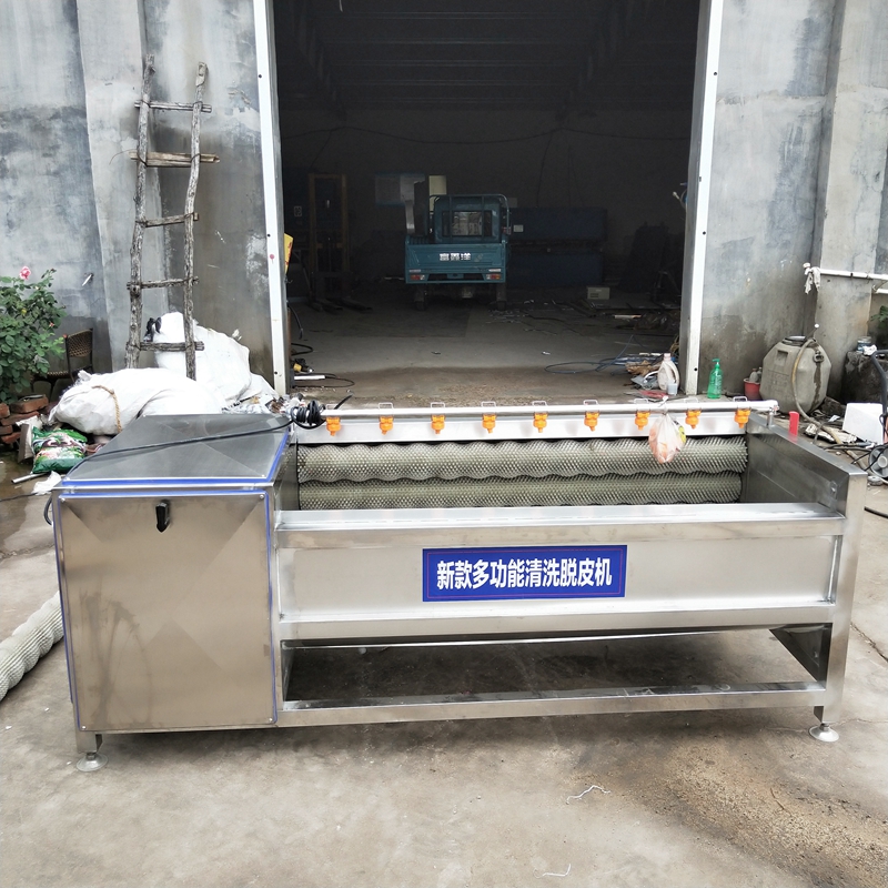 白蘿卜毛輥清洗機(jī) 不銹鋼胡蘿卜清洗機(jī) 土豆清洗去皮機(jī) 洗凈程度高